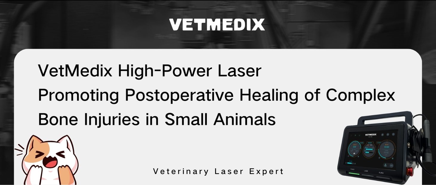 VetMedix 症例共有丨動物の続発性脛腓骨折の高出力レーザー治療