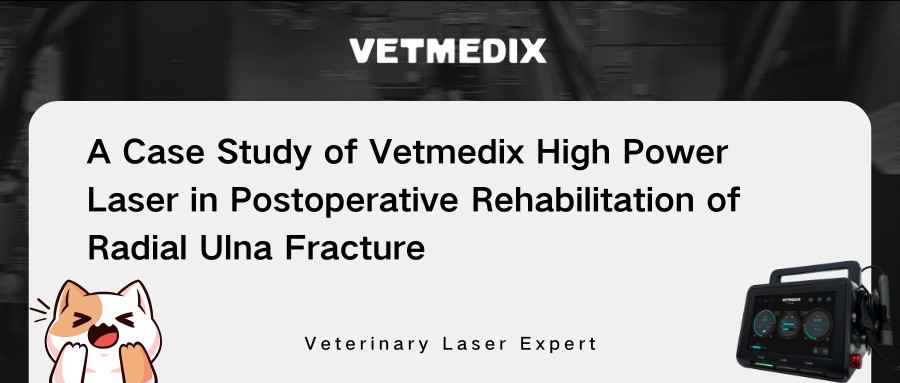 vetmedixケース共有